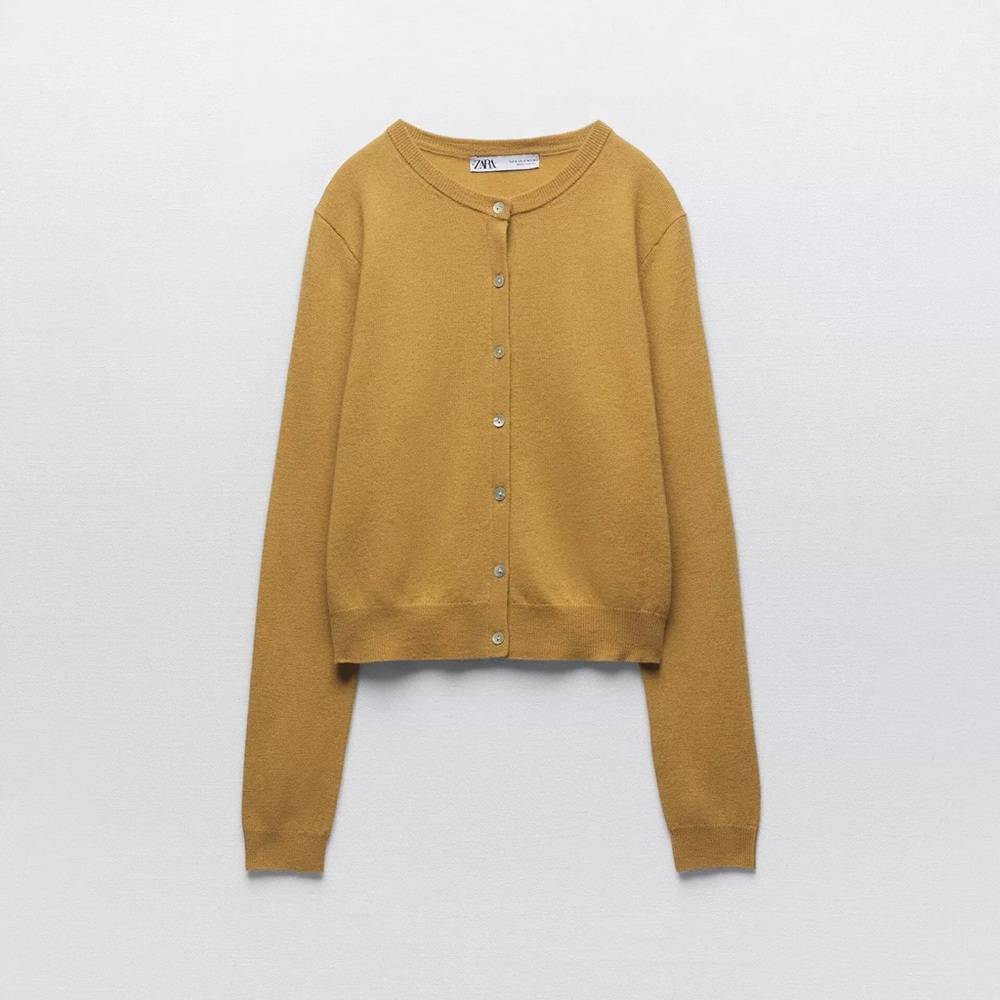 Zara Knit Cardigan Sweater